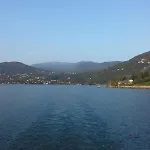 Erika
