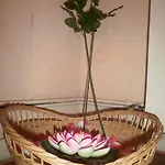 게스트하우스 에리카