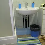 에리카