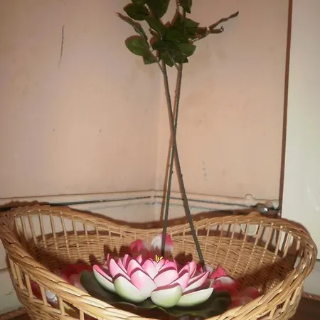 Maison d'hôtes Erika