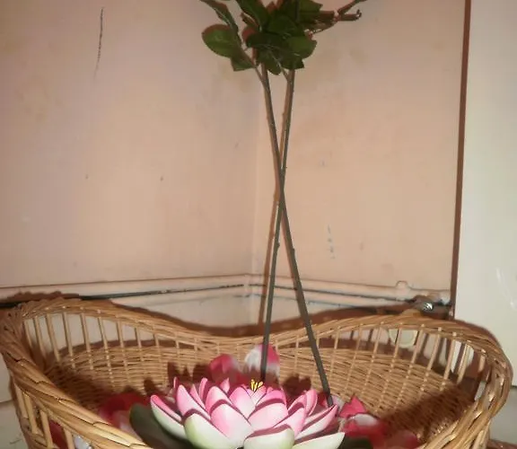 Гостьовий будинок Erika